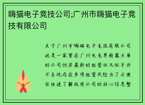 嗨猫电子竞技公司;广州市嗨猫电子竞技有限公司